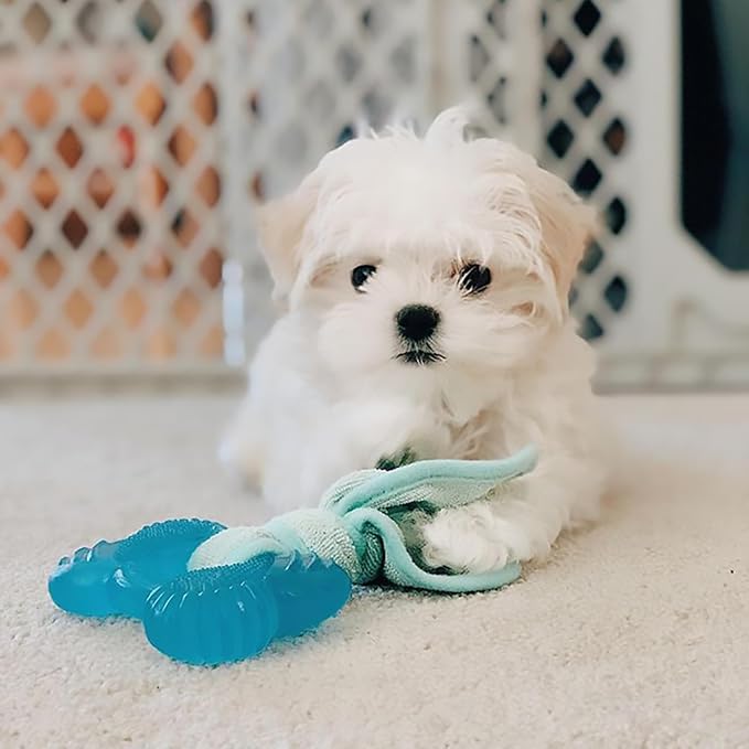 Nylabone Freezer Bone Puppy Chew Toy, Soothing Teething Toys - Image 9