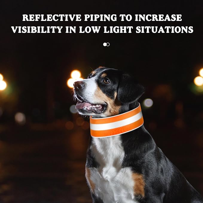 Paterr 2 Pcs Reflective Dog Collar High Visibility Adjustable Pet Collars - Image 2