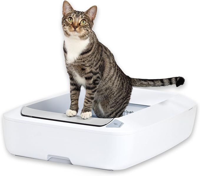 PetSafe ScoopFree Crystal Plus Automatic Self-Cleaning Cat Litter Box System – by PetSafe