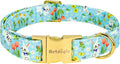 Easter Dog Collar for Extra Small Dogs, Easter & Spring Theme Small Dog Collar by Unknown