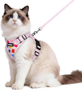rabbitgoo Cat Harness and Leash by rabbitgoo