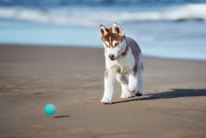Snug Rubber Dog Balls for Small and Medium Dogs - Image 4