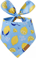 Luxury Double-Layer Dog Birthday Bandana – Handmade, Silk-Soft Polyester by Qxsnuvvlg