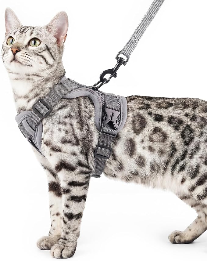 Cat Harness and Leash Set Escape Proof Tactical Small Kitten Harness Emotional by pangdi