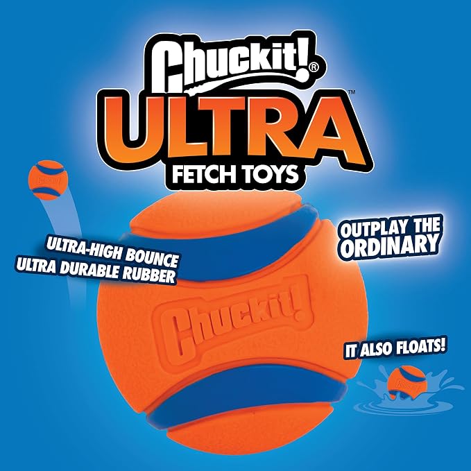 Chuckit! Ultra Ball Dog Toy - Image 2