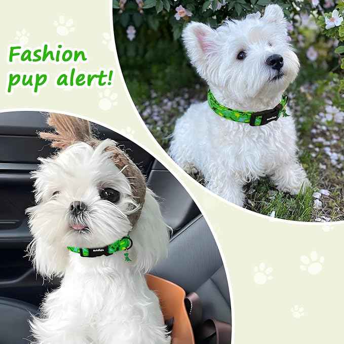 Dinosaur Dog Collar，Green with Multicolor Dino Pattern Handmade Cotton Collar