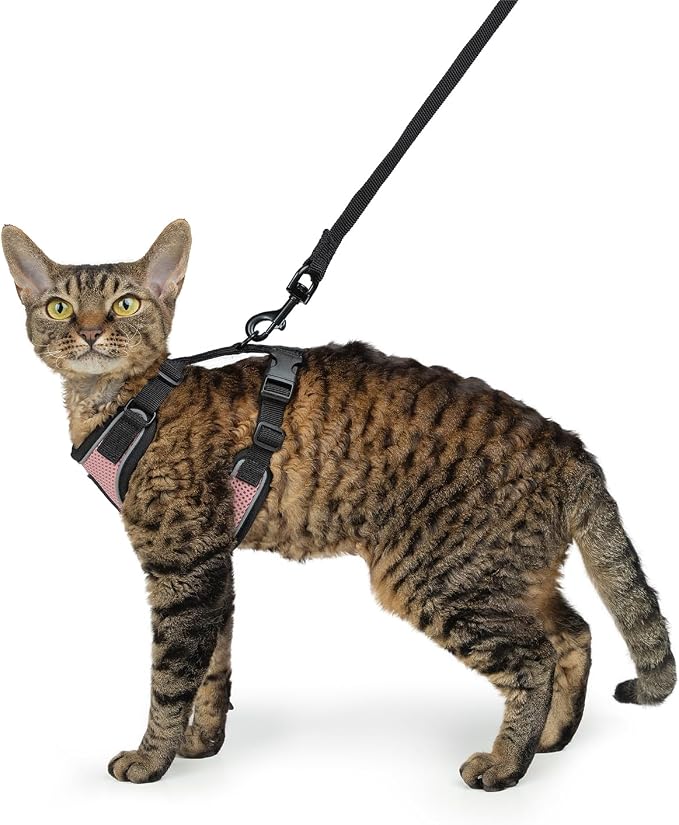 Voyager Escape-Proof Step-in Lock Cat Harness & 5ft Neoprene-Handle Leash Set - Image 6