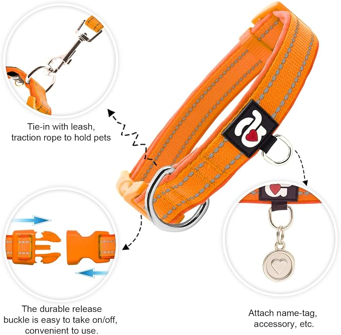 azuza Reflective Dog Collar, Soft Neoprene Padded Pet Collar - Image 2