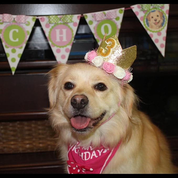 Dog Birthday Crown Hat - Image 3