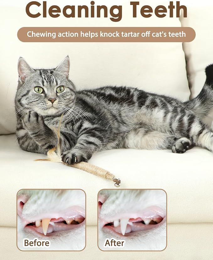 Tocirelo Kitten Chew Toys Teething - Image 3