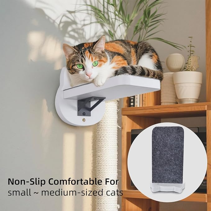 ESPETS White Painted Wooden Cat Wall Floating Steps Set of 3 - Image 8