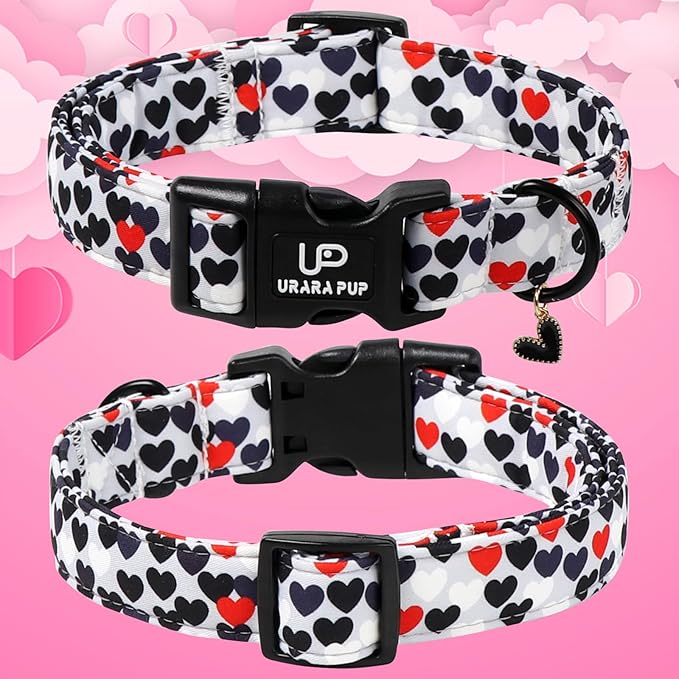 Valentine's Dog Collar, UP URARA PUP Love Heart Adjustable Pet Collar - Image 2