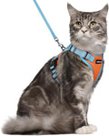 rabbitgoo Cat Harness and Leash Set, Escape Proof Soft Adjustable Vest Harnesses by rabbitgoo