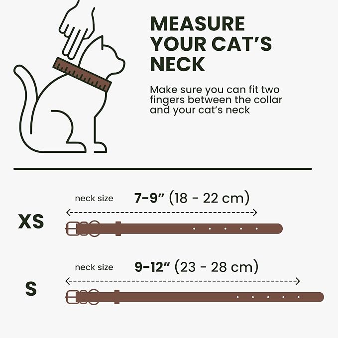 BRONZEDOG Leather Cat Collar - Image 7