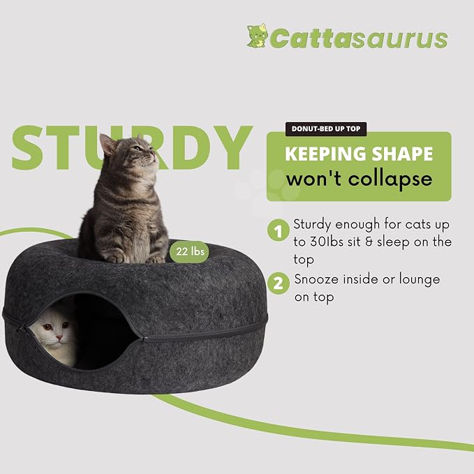 CATTASAURUS Peekaboo Cat Cave for Multiple & Large Cats Up to 30-45 Lbs - Image 2