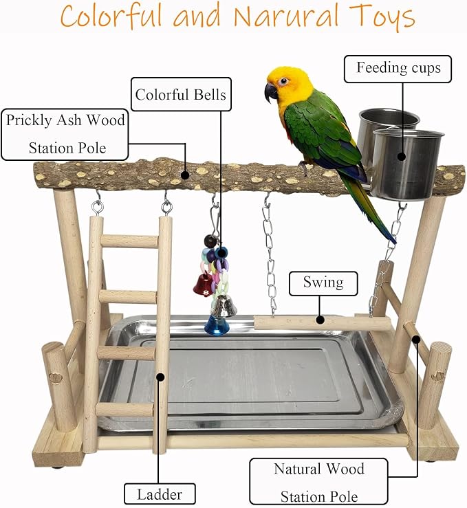 PINVNBY Bird Playground Parrot Playstand Birds Play Stand Wood Exercise Perch - Image 5