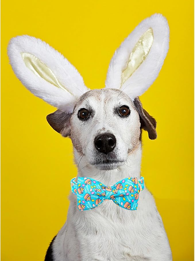 Lionheart glory Dog Bow Collar Easter Day Dog Collar - Image 4
