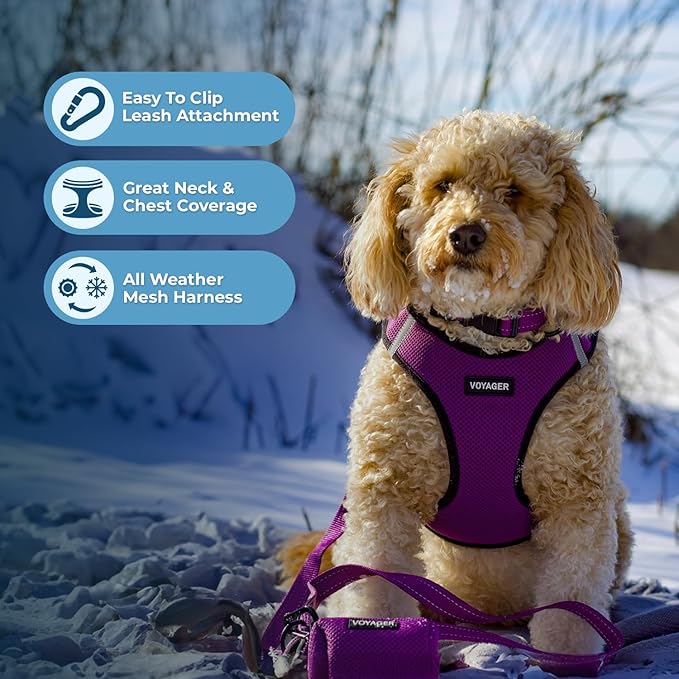 Best Pet Supplies Voyager Step-in Air Harness - Image 5
