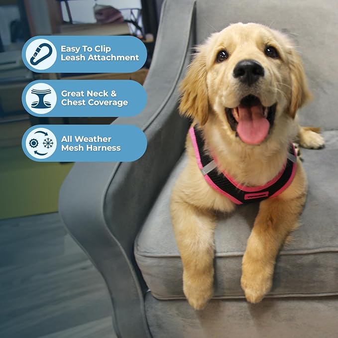 Best Pet Supplies - Image 3