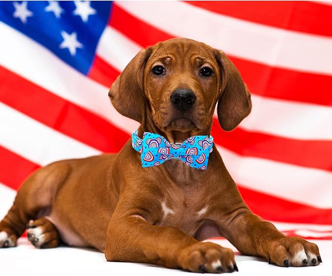 Lionheart glory American Flag Dog Collar, 4 of July Dog Bow Collar Heavy Duty - Image 6