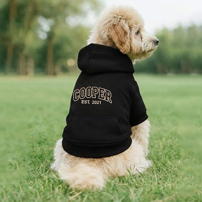 Noni Personalized Name Dog Hoodie, Embroidered Puppy Sweater - Image 2