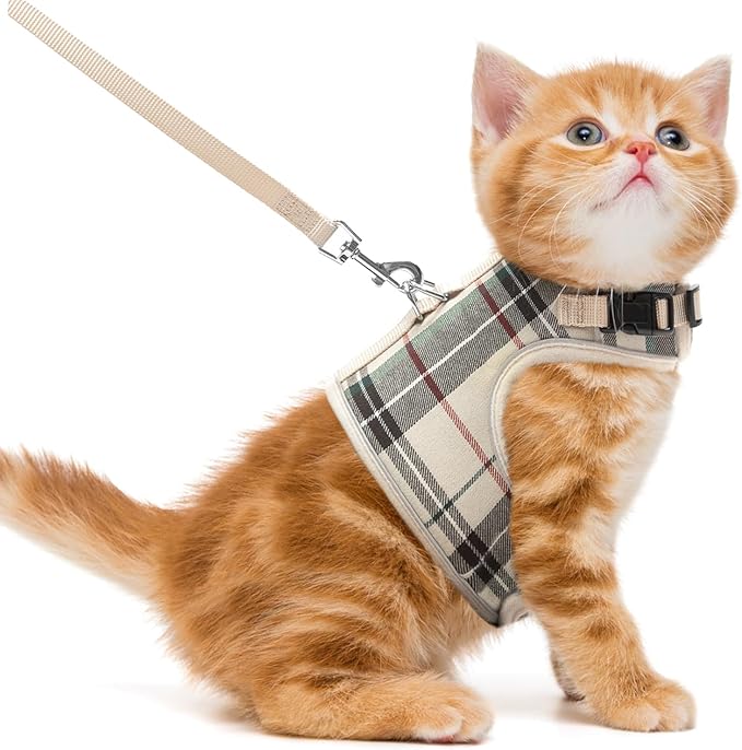 PUPTECK Soft Mesh Cat Vest Harness and Leash Set Puppy Padded Pet Harnesses by PUPTECK