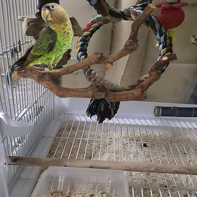 PINVNBY Natural Parrot Perch Bird Stand Pole Wild Grape Stick Paw Grinding Fork - Image 4