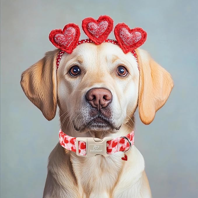 Valentines Dog Collar for Small Dogs - Image 5