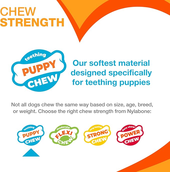 Nylabone New Puppy Starter Kit, 5 Chew Toys and 1 Natural Treat - Image 3
