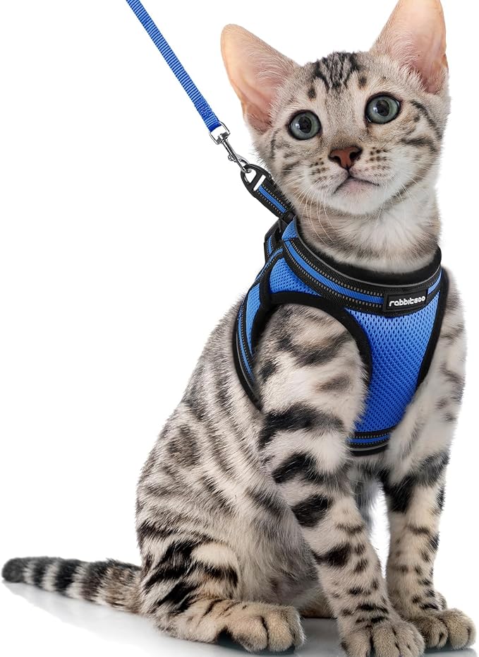 rabbitgoo Cat Harness and Leash Set by rabbitgoo