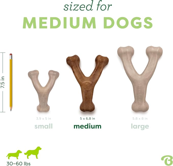 Medium 3-Pack, Benebone Wishbone Durable Dog Chew Toy - Image 4