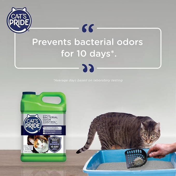 Cat's Pride Max Power: Bacterial Odor Control - Image 5