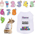 Custom Dog Birthday Shirt, Personalized Pet Apparel Print by Unknown