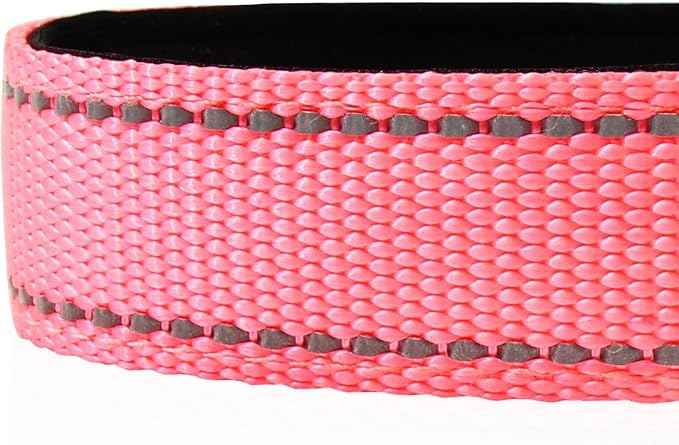 Joytale Reflective Dog Collar, Soft Neoprene Padded, Metal D-Ring, Nylon Pet