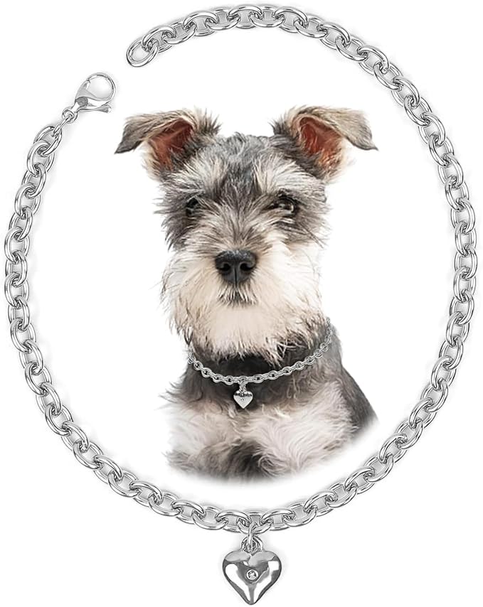 HOWWFALY Dog Collar and Dog Chain Necklace Stainless Steel Adjustable 18K by HOWWFALY