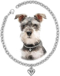 HOWWFALY Dog Collar and Dog Chain Necklace Stainless Steel Adjustable 18K by HOWWFALY