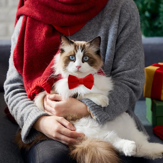 Sliverdew 2 Pcs Velvet Cat Collar - Image 3