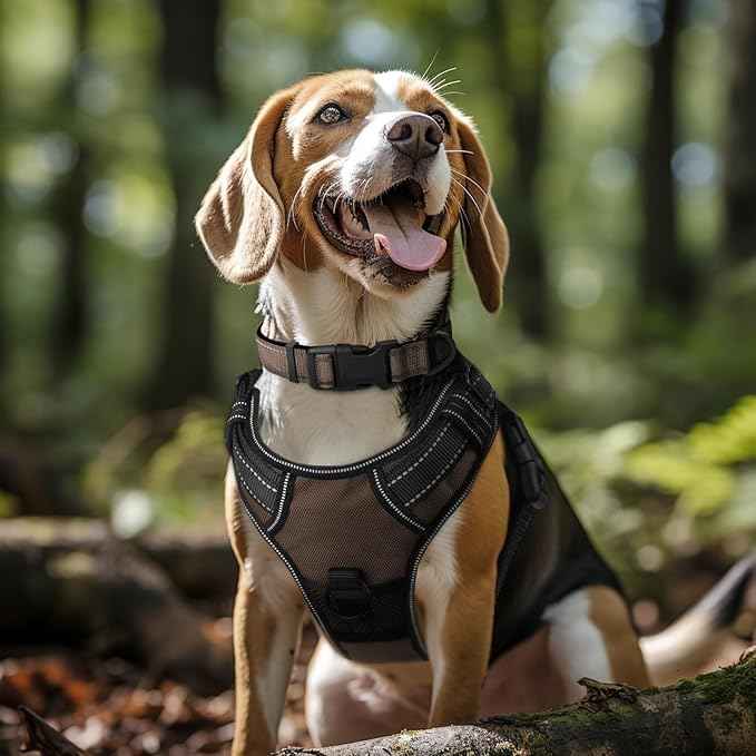 Joytale Reflective Dog Collar, Soft Neoprene Padded, Metal D-Ring, Nylon Pet