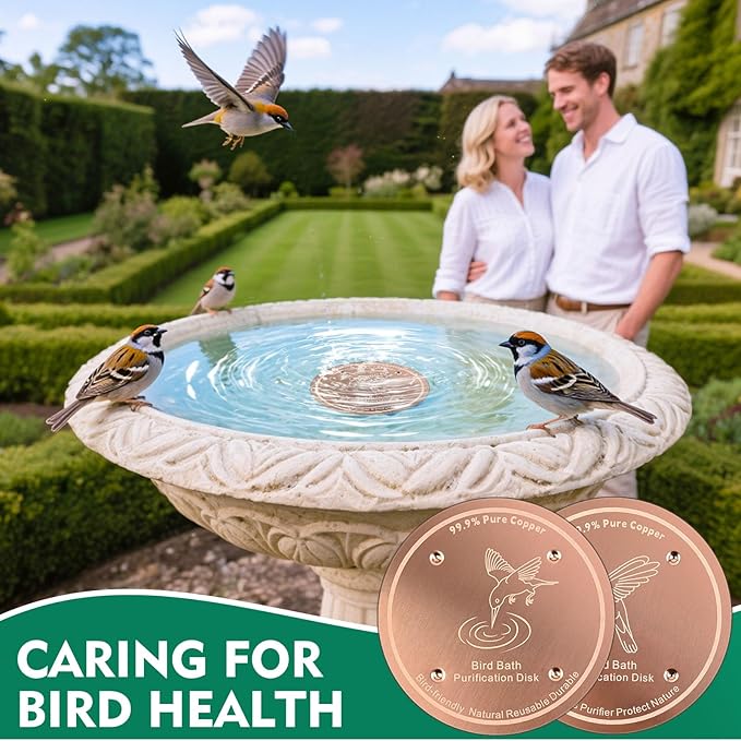 2 Pcs Bird Bath Copper Disk | 99.99% Pure Copper Plate & Birdbath Disk | 0.6mm - Image 7
