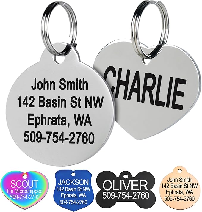 GoTags Stainless Steel Pet ID Tags, Personalized Dog Tags and Cat Tags by GoTags