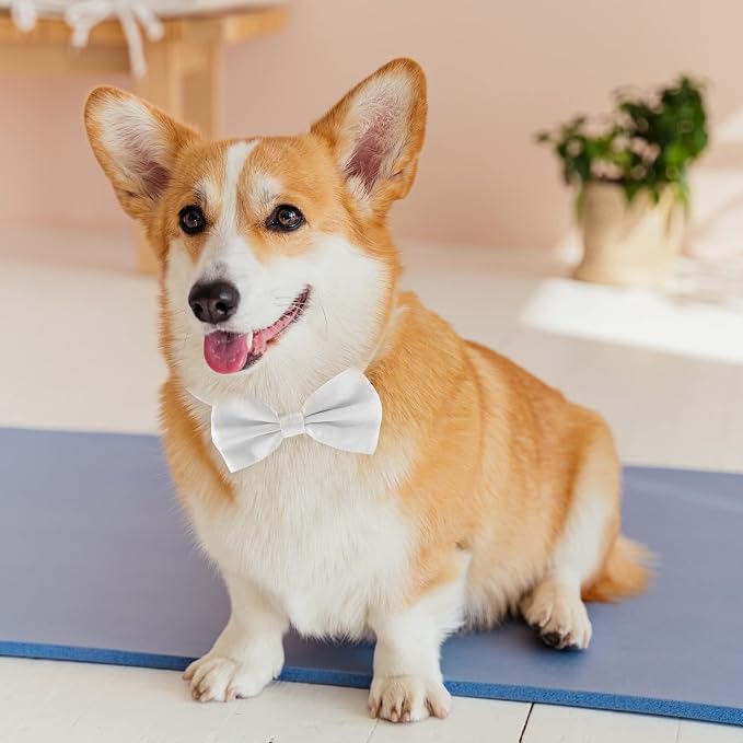 Dog Bow Tie for Large Dogs, KOOLMOX Adjustable Formal Dog Bowtie Collars for - Image 4