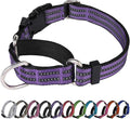 Martingale Dog Collar, Adjustable Nylon Reflective Collar by JOYEEIIOO