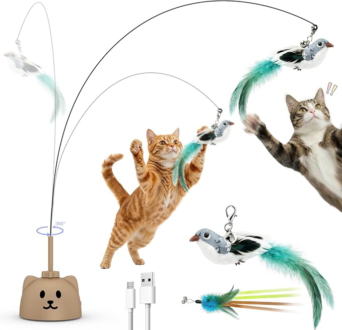 Interactive Cat Toys for Indoor Cats by Unknown