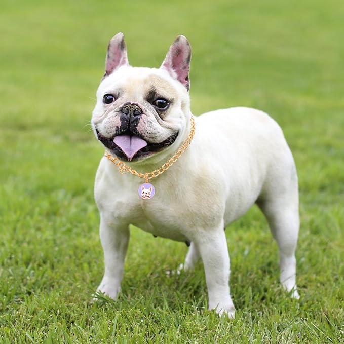 HOWWFALY Dog Collar and Cat Chain Necklace Stainless Steel Adjustable 18K Gold - Image 5