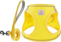 Hipubby Dog Harness and Leash Set, No Pull Soft Mesh Puppy Harness by Hipubby