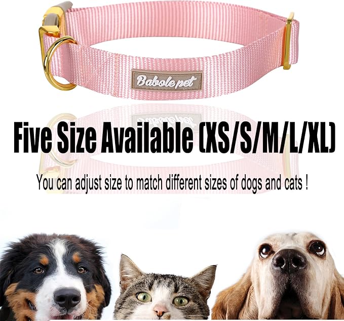 Nylon Dog Collar - Image 8
