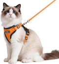 rabbitgoo Cat Harness and Leash by rabbitgoo