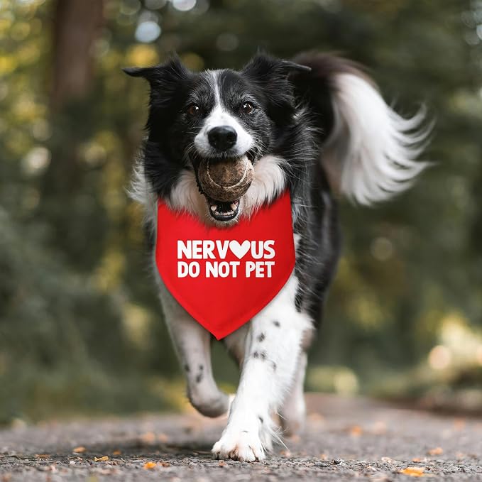 Nervous Do Not Pet Dog Bandana Service Bandana Service Dog in Training Funny - Image 6