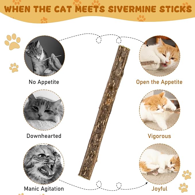 Silvervine Sticks for Cats, Natural Catnip Matatabi Chew Sticks Teeth Molar - Image 4
