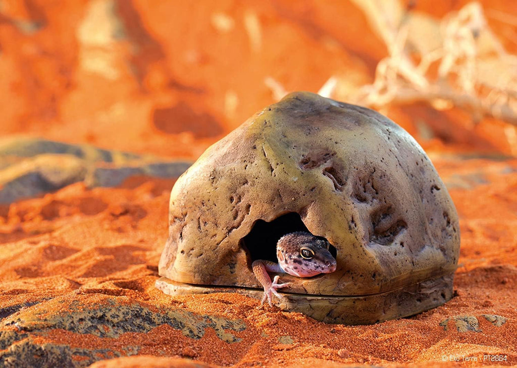 Exo Terra Gecko Cave for Reptiles and Amphibians, Reptile Hideout - GlobalHabitat Supply